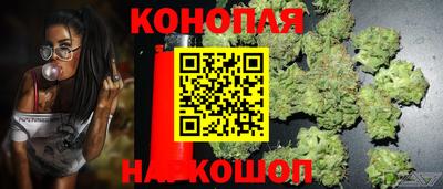 2c-b Новодвинск